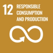 12. Responsible Consumption And Production