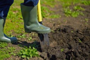 Digging the soil