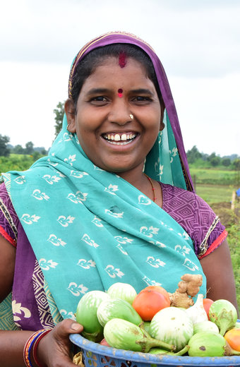 Eggplants In India