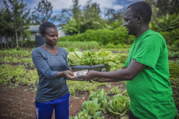Farming income generation