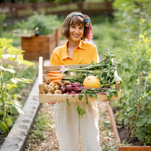 Freshly picked vegetables