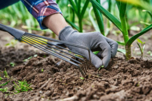 Garden maintenance