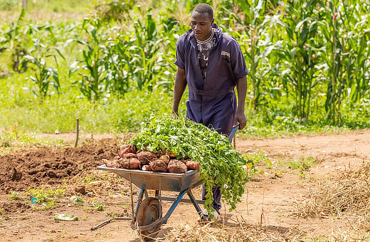 Impact Nations Myanzi Farm