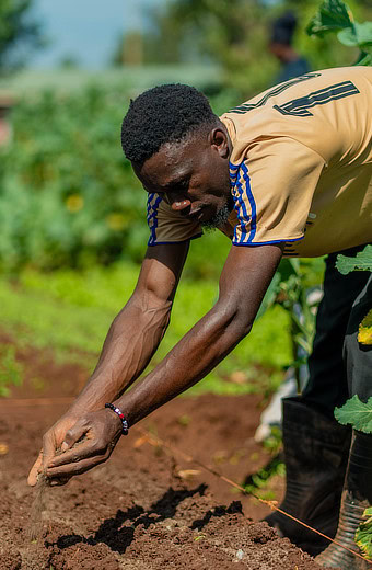 Man sowing seeds
