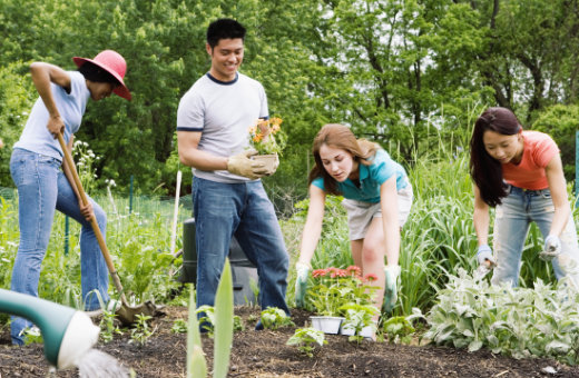 People In Garden