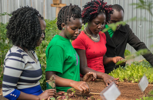 Organic Gardening