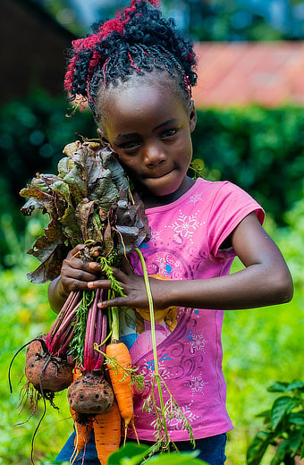 Girl with Beets and Carrots