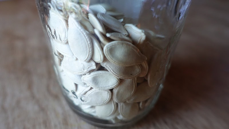 Saving Seeds