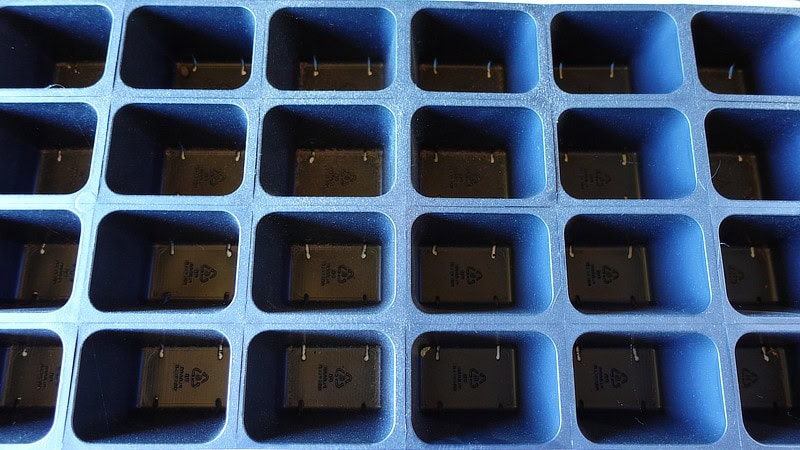 Seeding containers and tray