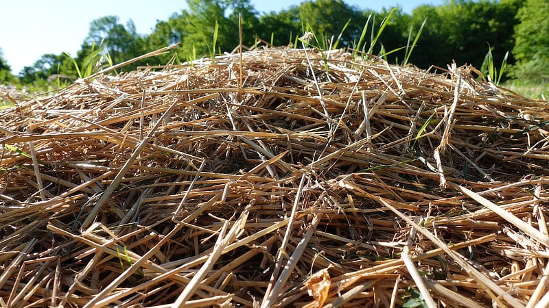 Sheet mulch