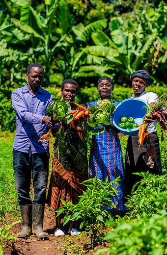 Showing The Harvest