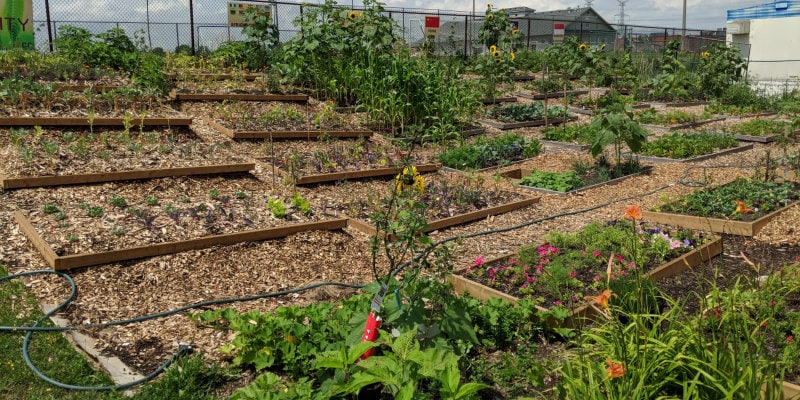 Somy church community garden