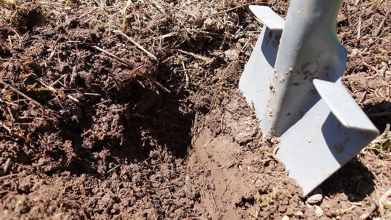 Soil testing
